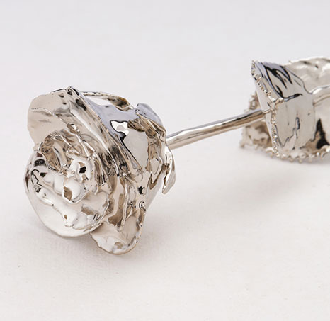 platinum-plated-roses